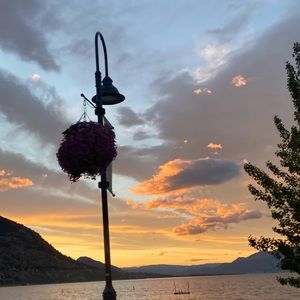 Meet your Posher, Penelope